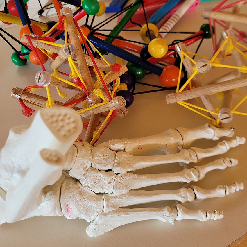 Vortrag Schulter und Hand